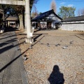 実際訪問したユーザーが直接撮影して投稿した小竹町神社浅間神社の写真