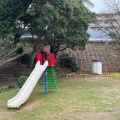 実際訪問したユーザーが直接撮影して投稿した稲積公園上緑公園の写真