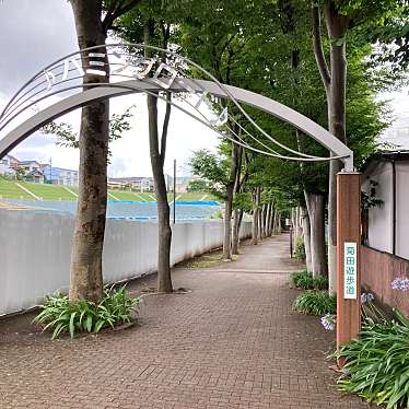 実際訪問したユーザーが直接撮影して投稿した鷺沼公園菊田遊歩道の写真