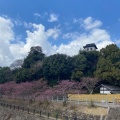 実際訪問したユーザーが直接撮影して投稿した掛川城 / 城跡掛川城公園の写真