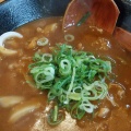 カレーうどん - 実際訪問したユーザーが直接撮影して投稿した石原町うどんカレーうどん得正の写真のメニュー情報