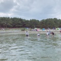 実際訪問したユーザーが直接撮影して投稿した海の公園公園海の公園の写真