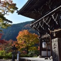 実際訪問したユーザーが直接撮影して投稿した大原野小塩町寺善峯寺の写真