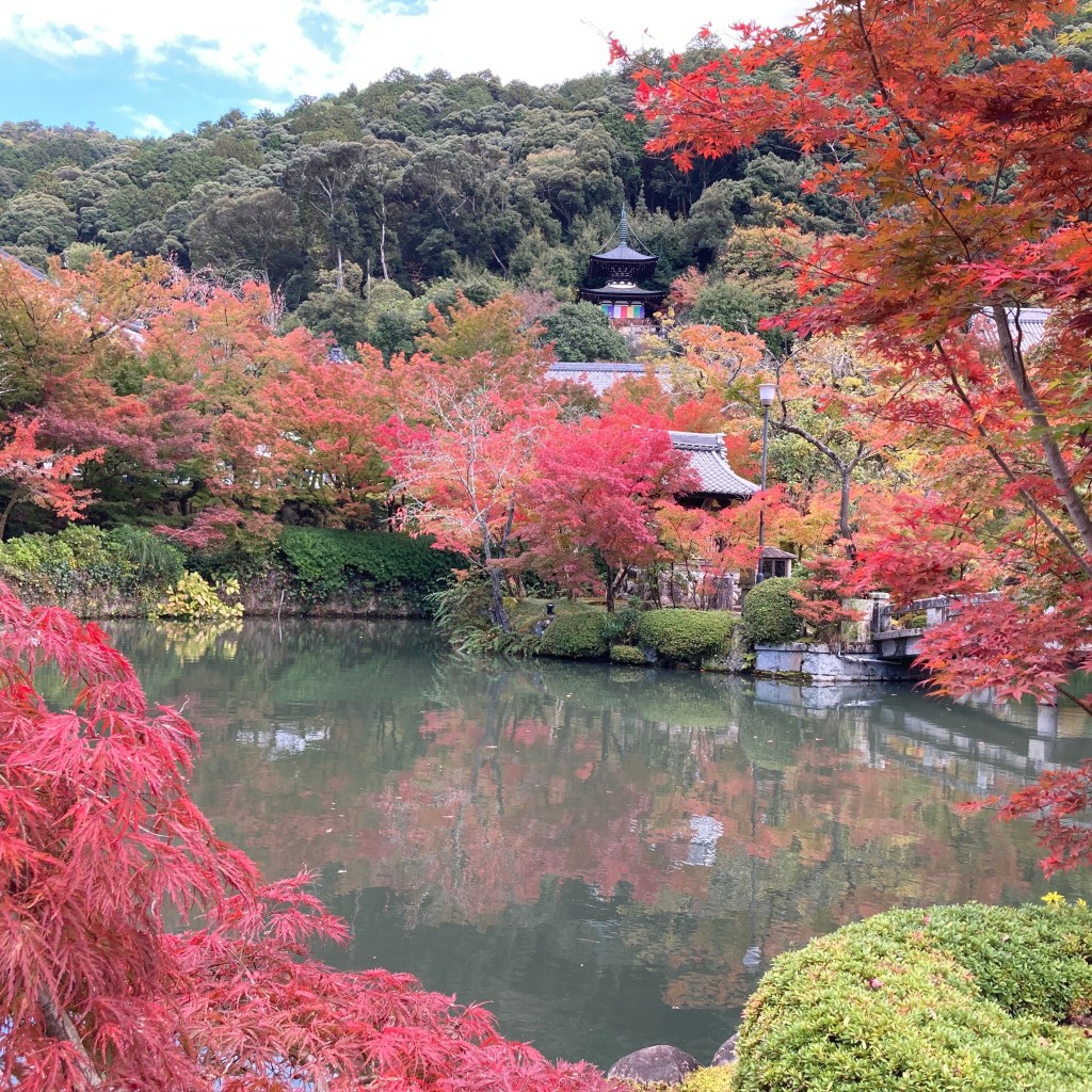 マグノリアうさぎさんが投稿した永観堂町寺のお店禅林寺 (永観堂)/ゼンリンジ エイカンドウの写真