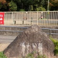 実際訪問したユーザーが直接撮影して投稿した城山町公園城山公園の写真