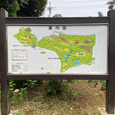 実際訪問したユーザーが直接撮影して投稿した狩場町公園横浜市児童遊園地の写真