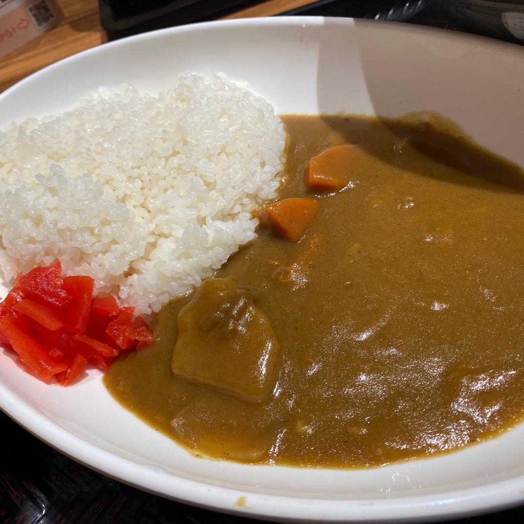 ユーザーが投稿したセットミニカレーの写真 - 実際訪問したユーザーが直接撮影して投稿した六本木うどんはなまるうどん 六本木六丁目店の写真