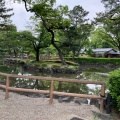 実際訪問したユーザーが直接撮影して投稿した中村町公園中村公園の写真