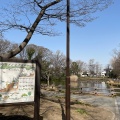 実際訪問したユーザーが直接撮影して投稿した菊名公園菊名池公園の写真