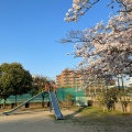 実際訪問したユーザーが直接撮影して投稿した今津二葉町公園二葉公園の写真