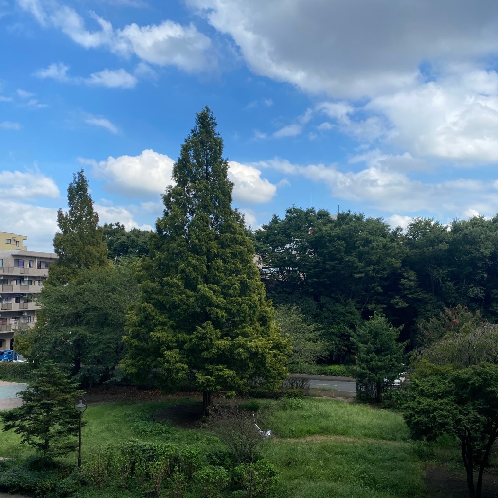 実際訪問したユーザーが直接撮影して投稿した古淵公園古淵西公園の写真