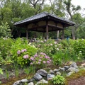 実際訪問したユーザーが直接撮影して投稿した深草鳥居崎町神社藤森神社の写真