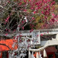 実際訪問したユーザーが直接撮影して投稿した高取南神社平和台神社の写真