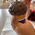 実際訪問したユーザーが直接撮影して投稿したあずま町アイスクリームサーティワンアイスクリーム ピオニウォーク東松山店の写真