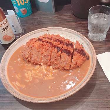 実際訪問したユーザーが直接撮影して投稿した西新宿カレーカレーハウス CoCo壱番屋 新宿NSビル店の写真