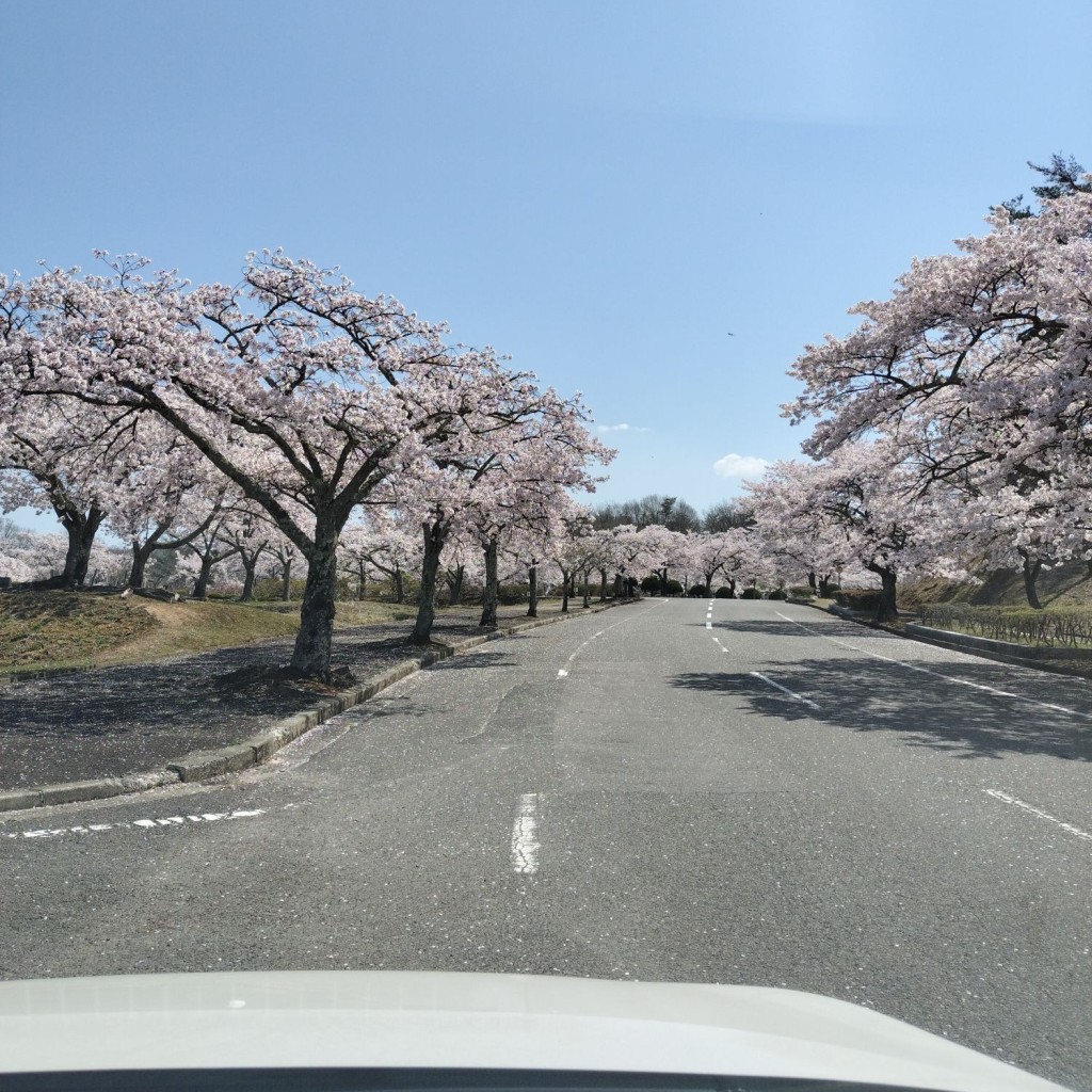 実際訪問したユーザーが直接撮影して投稿した田村町小川葬儀 / 斎場・霊園東山霊園の写真