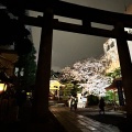 実際訪問したユーザーが直接撮影して投稿した猿江神社猿江神社の写真