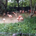 実際訪問したユーザーが直接撮影して投稿した野市町大谷動物園高知県立のいち動物公園の写真