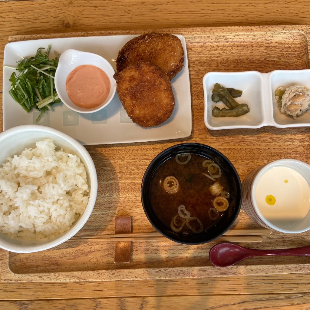 ユーザーが投稿したゆばコロッケ定食の写真 - 実際訪問したユーザーが直接撮影して投稿した岡東町豆腐料理食のつむぎ 枚方T-SITE店の写真