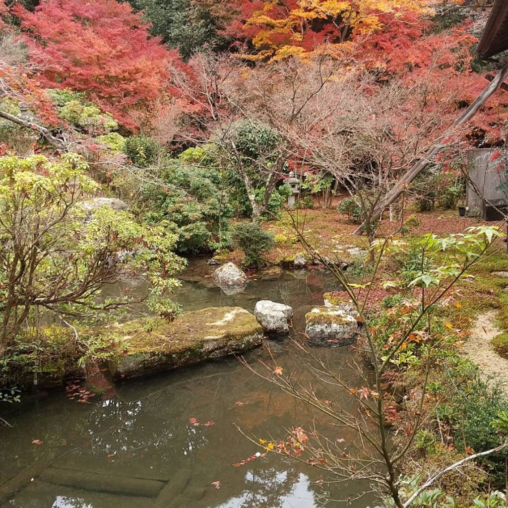 実際訪問したユーザーが直接撮影して投稿した岩倉上蔵町庭園池泉回遊式庭園の写真