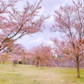 実際訪問したユーザーが直接撮影して投稿した千代田通り皇居乾通りの写真