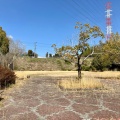 実際訪問したユーザーが直接撮影して投稿した細江町中川公園テクノランド公園の写真