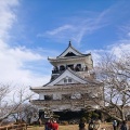 実際訪問したユーザーが直接撮影して投稿した館山城 / 城跡館山城の写真