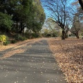 実際訪問したユーザーが直接撮影して投稿した小山ヶ丘公園都立 小山内裏公園の写真
