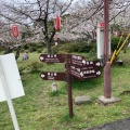 実際訪問したユーザーが直接撮影して投稿した一番丁公園和歌山城公園の写真