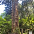 実際訪問したユーザーが直接撮影して投稿した入四間町神社御岩神社の写真