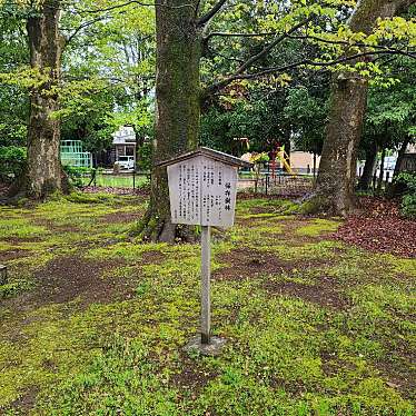 実際訪問したユーザーが直接撮影して投稿した泉野出町神社八幡神社の写真