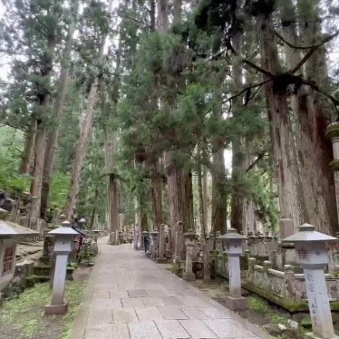 実際訪問したユーザーが直接撮影して投稿した高野山寺奥之院の写真