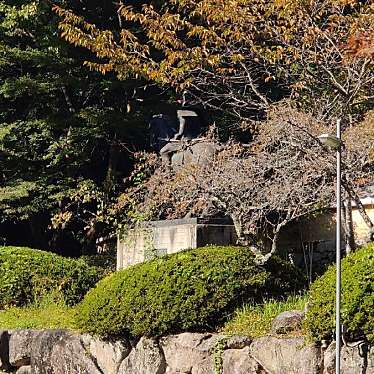 実際訪問したユーザーが直接撮影して投稿した寺元銅像観心寺 楠木正成銅像(大楠公)の写真