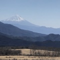 実際訪問したユーザーが直接撮影して投稿した高根町清里デザート / ベーカリー清泉寮ジャージーハットの写真