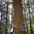 実際訪問したユーザーが直接撮影して投稿した山 / 峠武甲山の写真