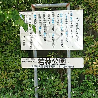 実際訪問したユーザーが直接撮影して投稿した若林公園若林公園の写真