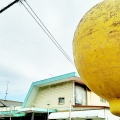 実際訪問したユーザーが直接撮影して投稿した児島小川カフェサンレモンの写真