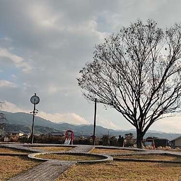 実際訪問したユーザーが直接撮影して投稿した中公園中村公園の写真