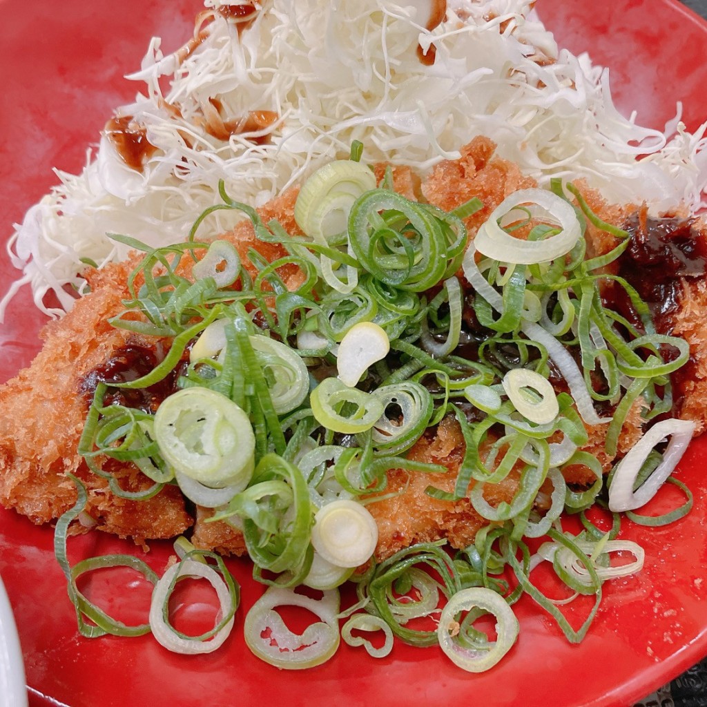 ユーザーが投稿したねぎ味噌チキンカツ定食の写真 - 実際訪問したユーザーが直接撮影して投稿した大佐野とんかつかつや 太宰府大佐野店の写真