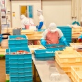 実際訪問したユーザーが直接撮影して投稿した赤松台工場見学めんたいパーク 神戸三田の写真