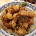 かき揚げ丼 - 実際訪問したユーザーが直接撮影して投稿した新橋天ぷら之村の写真のメニュー情報