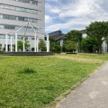 実際訪問したユーザーが直接撮影して投稿した緑町公園緑町公園の写真