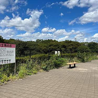 実際訪問したユーザーが直接撮影して投稿した関野町地域名所小金井公園富士見の丘の写真