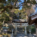 実際訪問したユーザーが直接撮影して投稿した八坂神社事任八幡宮の写真