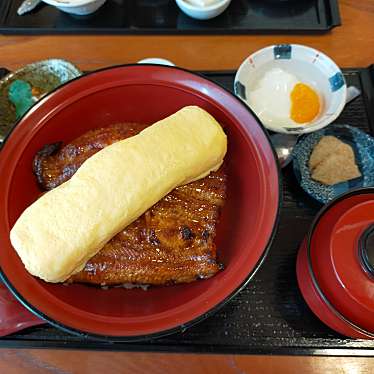 実際訪問したユーザーが直接撮影して投稿した鴨江うなぎ浜名湖うなぎ だいだらの写真