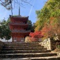 実際訪問したユーザーが直接撮影して投稿した井尻野寺宝福寺の写真