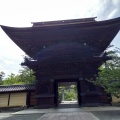 実際訪問したユーザーが直接撮影して投稿した香椎神社香椎宮の写真