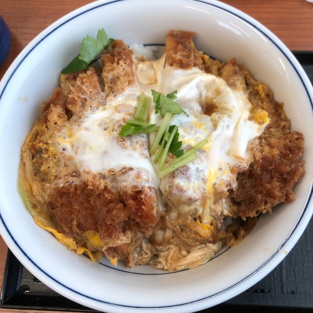 ユーザーが投稿したカツ丼(梅)の写真 - 実際訪問したユーザーが直接撮影して投稿した堺町とんかつかつや 長岡店の写真