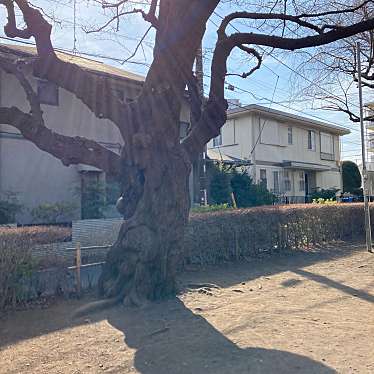 実際訪問したユーザーが直接撮影して投稿した淵野辺公園淵野辺1丁目第1公園の写真