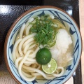 実際訪問したユーザーが直接撮影して投稿した入船町うどん丸亀製麺 ゆめタウン福山店の写真